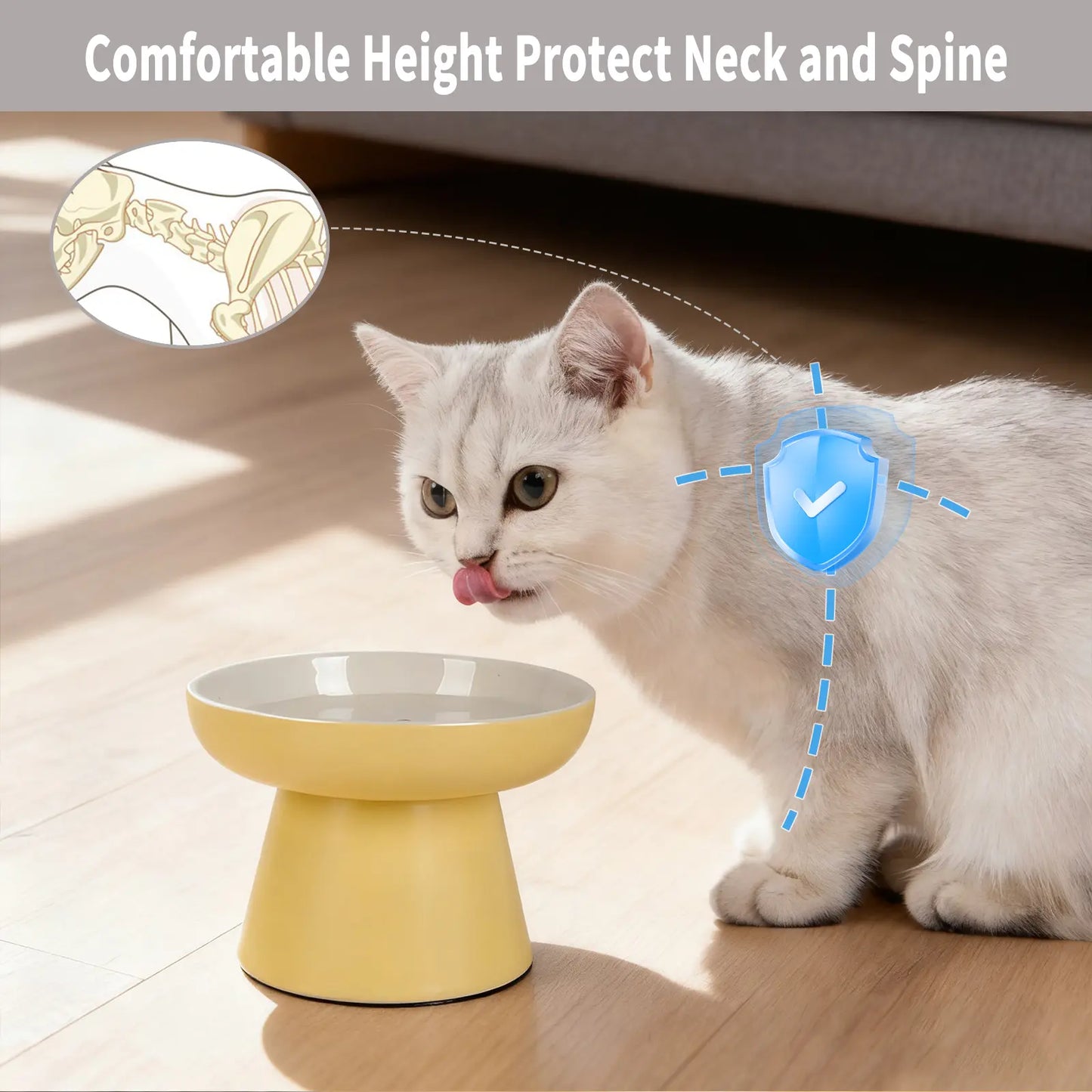Elevated Ceramic Cat Bowls for Small Pets - Whisker-Friendly, Anti-Vomiting, Non-Slip, and Dishwasher/Microwave Safe
