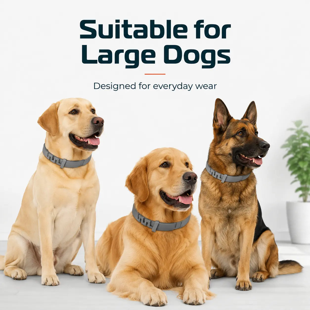 Gainstarx Adjustable Lightweight Dog Collar with Fresh Scent for Large Dogs Over 18 lbs - Ideal for Everyday Walks and Outdoor Activities