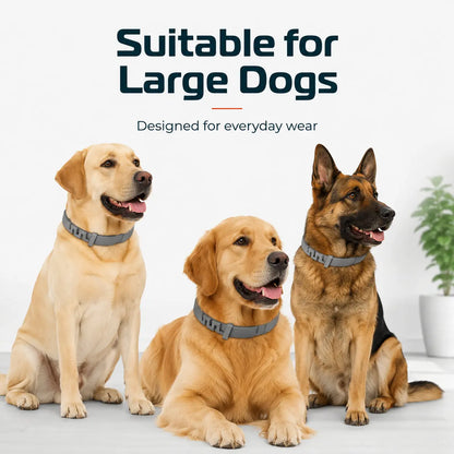 Gainstarx Adjustable Lightweight Dog Collar with Fresh Scent for Large Dogs Over 18 lbs - Ideal for Everyday Walks and Outdoor Activities