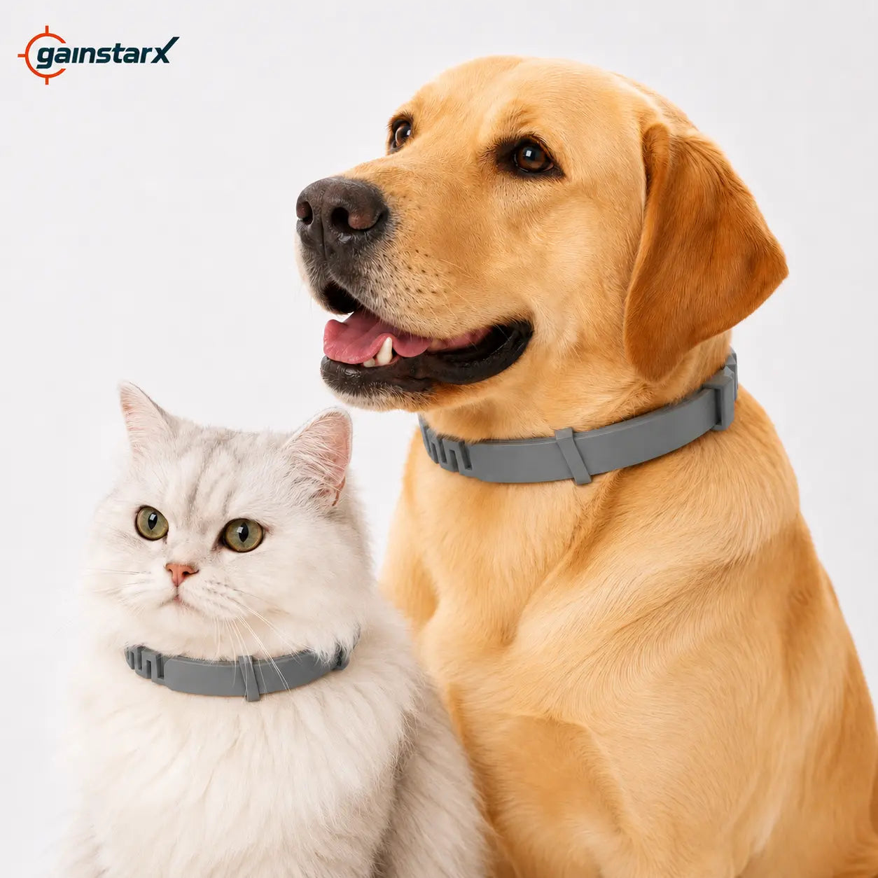 Gainstarx Adjustable Lightweight Dog Collar with Fresh Scent for Large Dogs Over 18 lbs - Ideal for Everyday Walks and Outdoor Activities