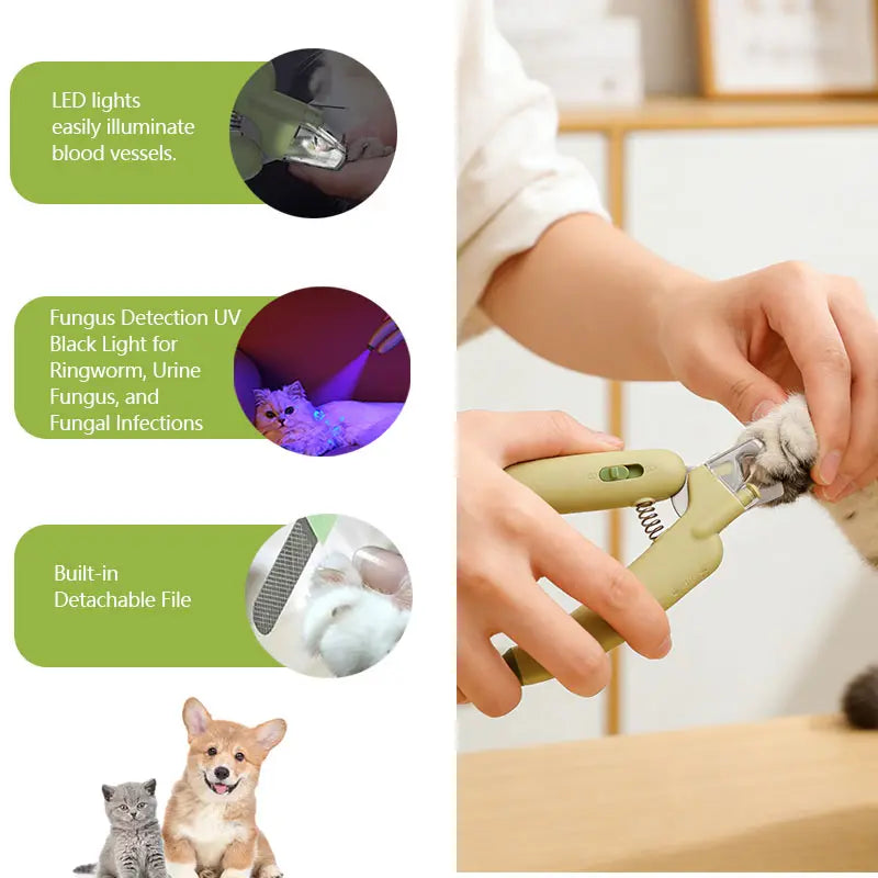 Professional Pet Nail Trimmer | LED Light, UV Lamp & Built-In Nail File for Safe Grooming