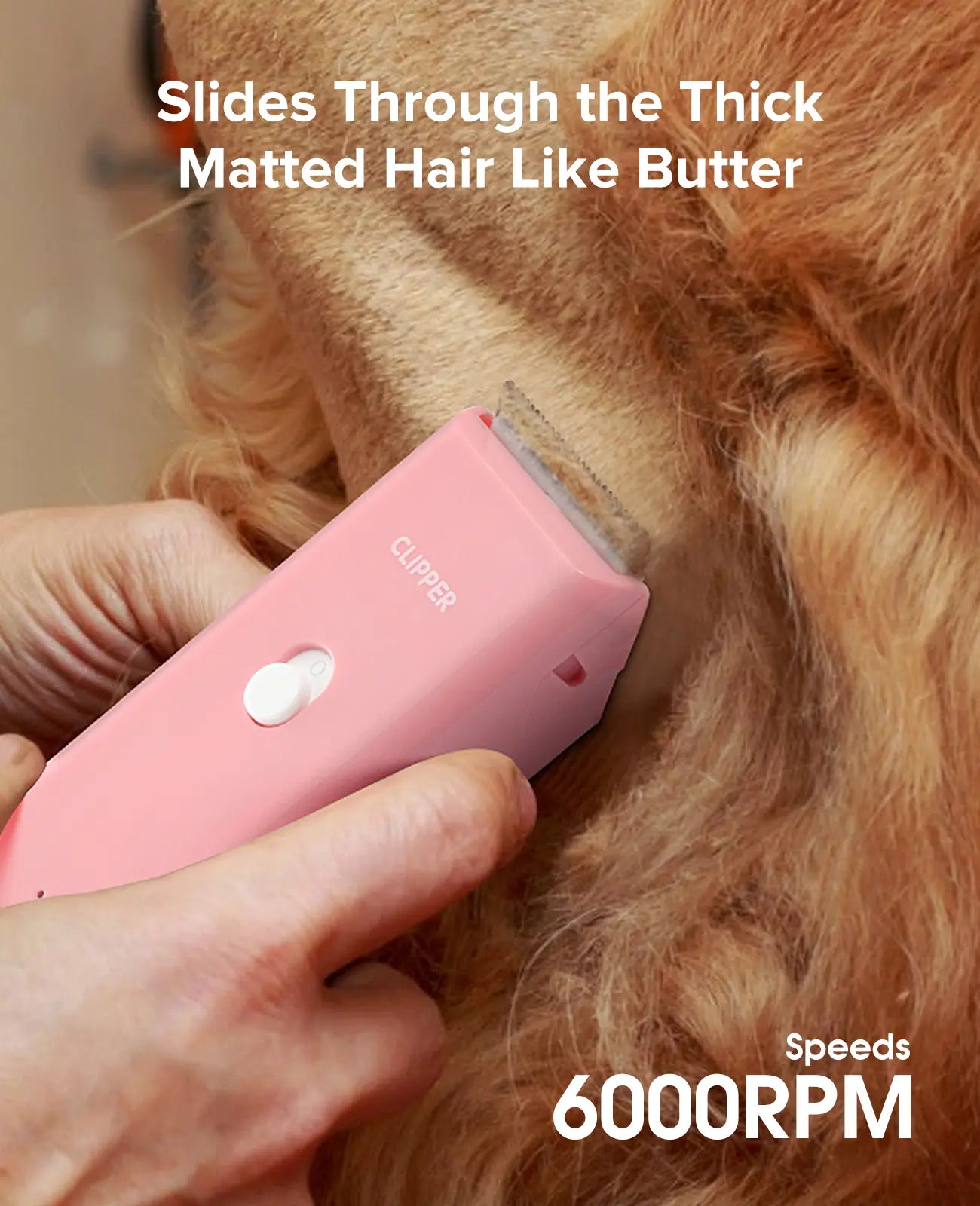 Professional Low Noise Rechargeable Cordless Pet Clippers for Dog and Cat Grooming with Ceramic Blade, Ideal for Matted and Long Hair
