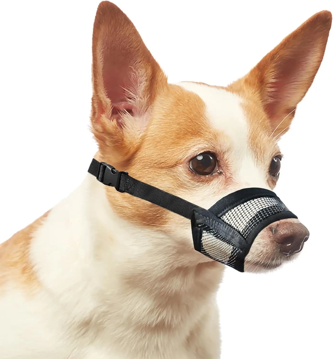 Adjustable Air Mesh Dog Muzzle for Various Sizes - Prevents Biting, Scavenging, Licking, and Chewing