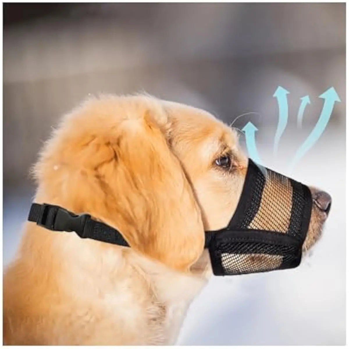 Adjustable Air Mesh Dog Muzzle for Various Sizes - Prevents Biting, Scavenging, Licking, and Chewing