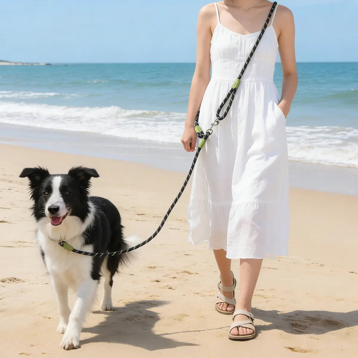 Hands-Free Dog Running Leash | Adjustable Crossbody Reflective Leash for Walking, Hiking & Training