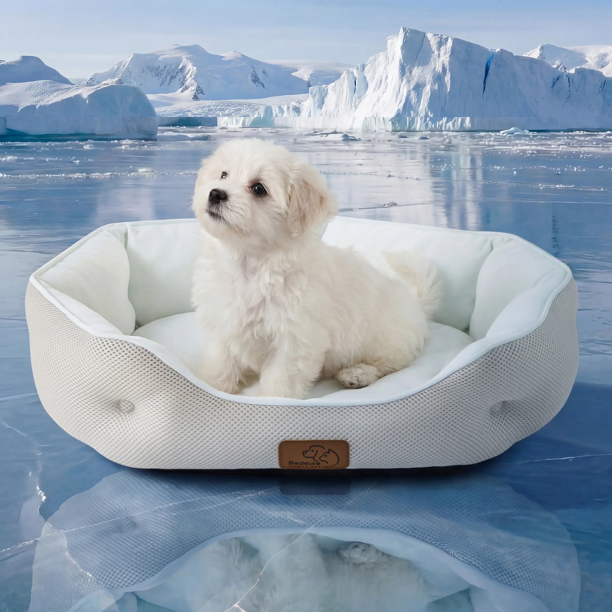 Bedsure Cooling Dog Beds for Small Breeds – Q-MAX>0.4 Round Cat Beds for Indoor Use, Washable Pet Bed for Puppies and Kittens with Slip-Resistant Base