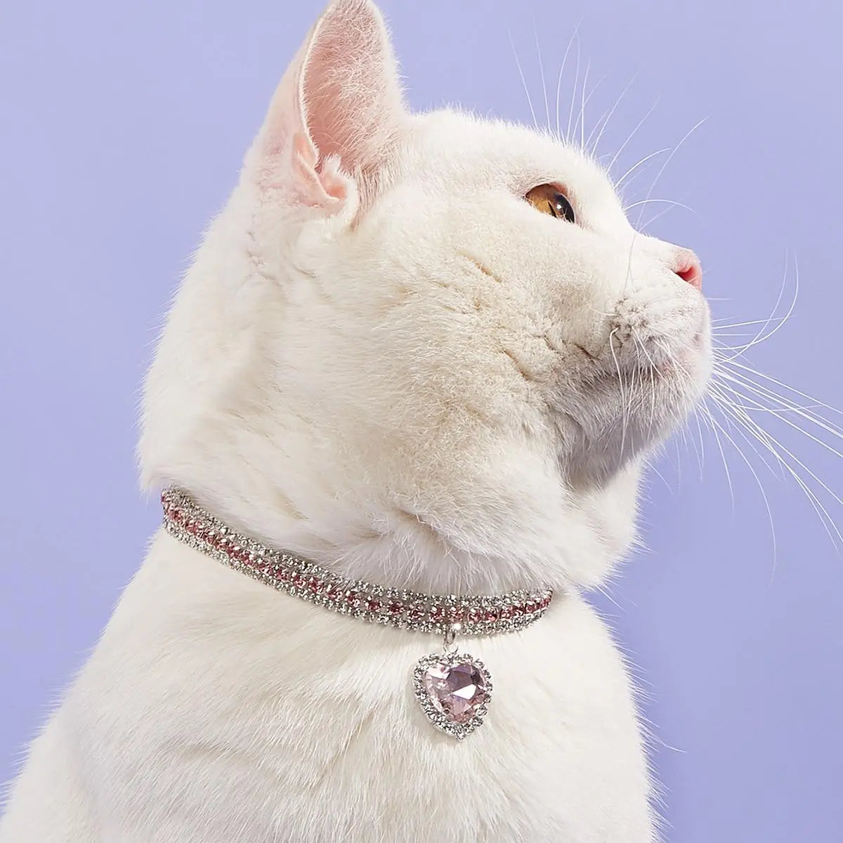 Heart-Shaped Artificial Diamond Pet Collar - Aesthetic Accessory for Cats and Dogs