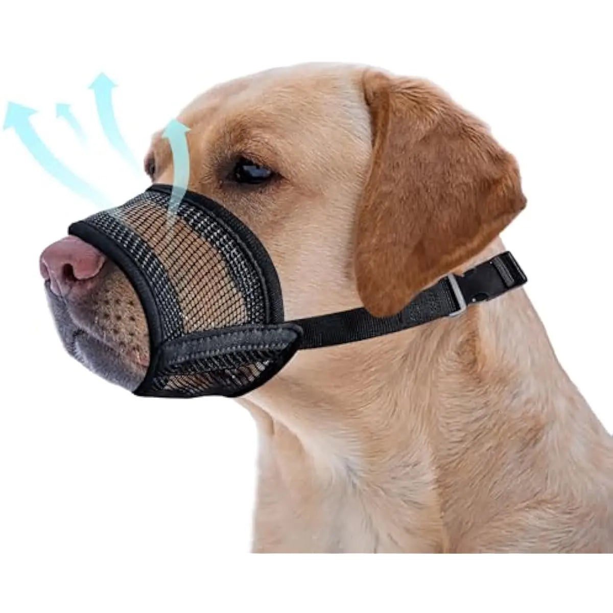 Adjustable Air Mesh Dog Muzzle for Various Sizes - Prevents Biting, Scavenging, Licking, and Chewing