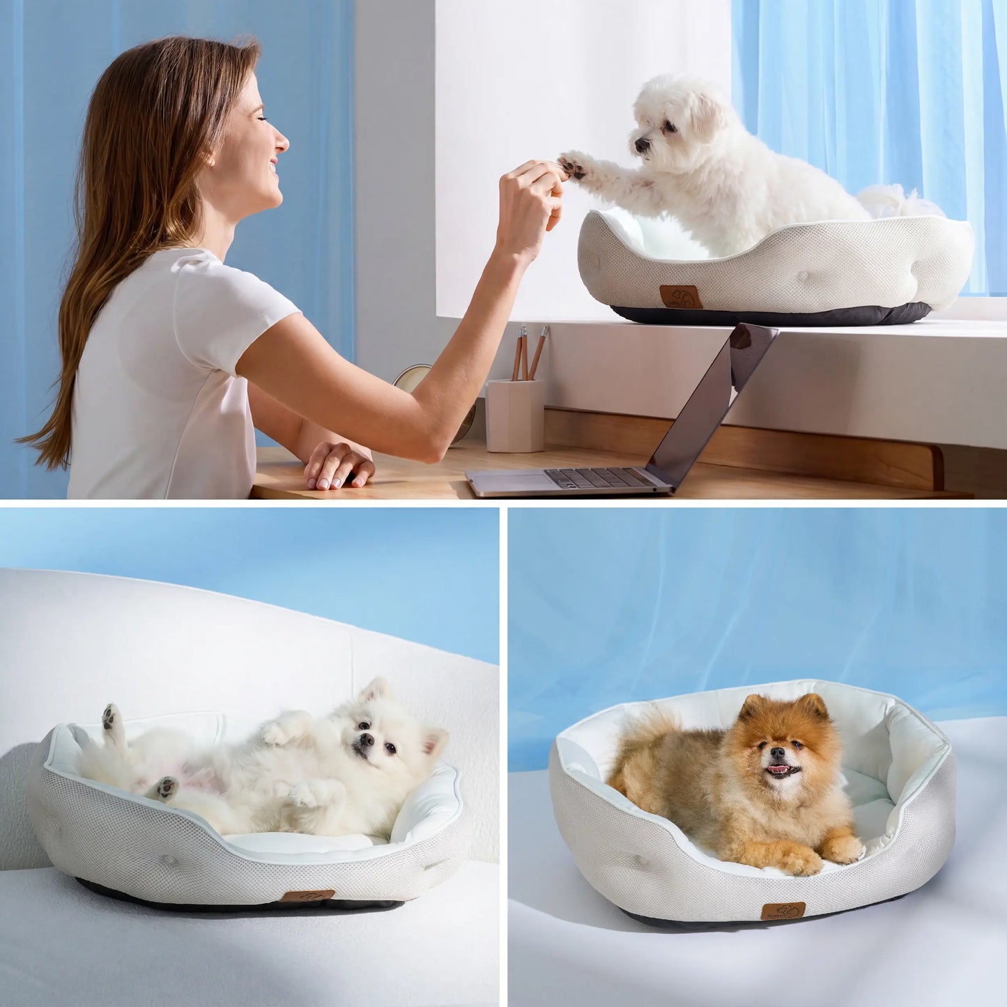 Bedsure Cooling Dog Beds for Small Breeds – Q-MAX>0.4 Round Cat Beds for Indoor Use, Washable Pet Bed for Puppies and Kittens with Slip-Resistant Base
