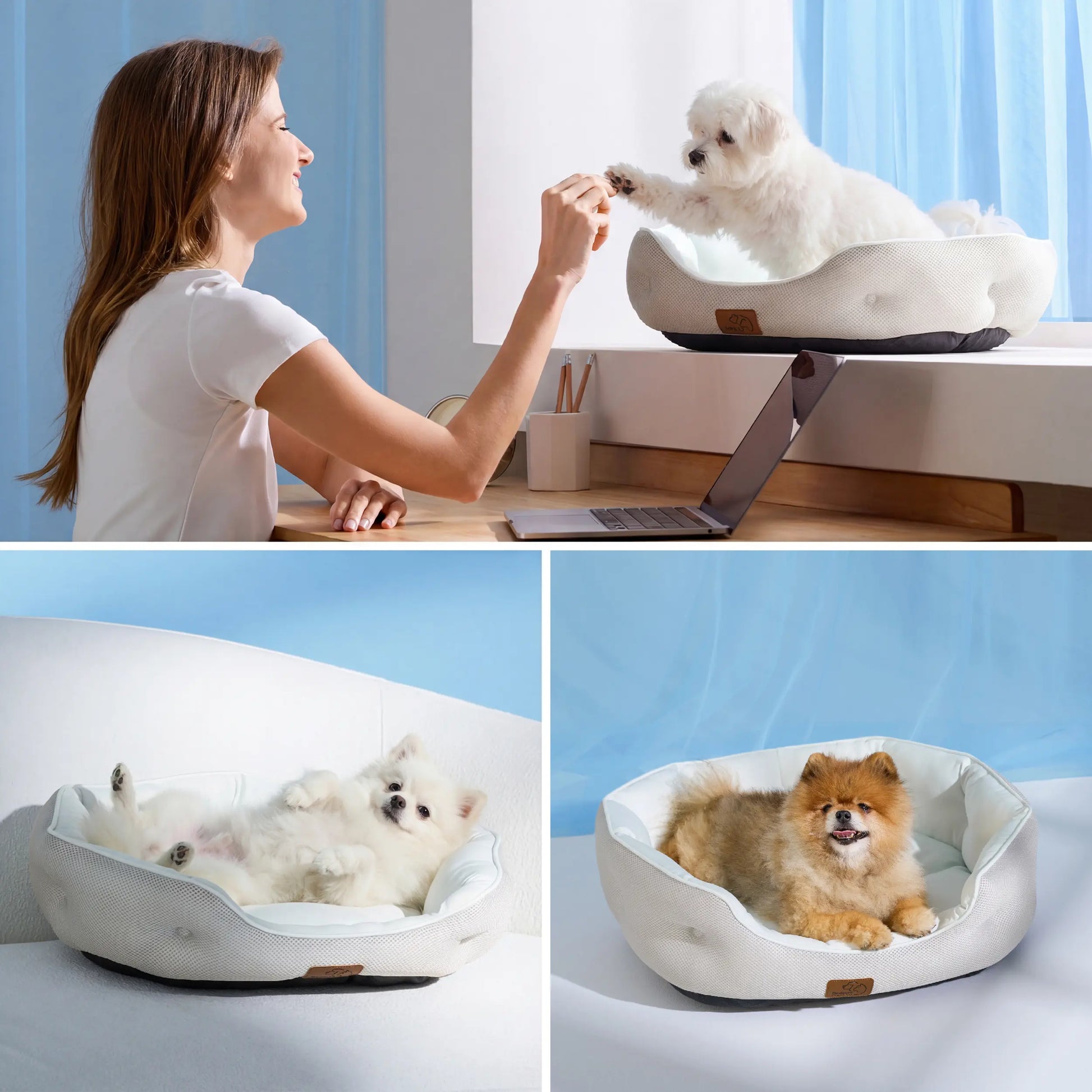 Bedsure Cooling Dog Beds for Small Breeds – Q-MAX>0.4 Round Cat Beds for Indoor Use, Washable Pet Bed for Puppies and Kittens with Slip-Resistant Base