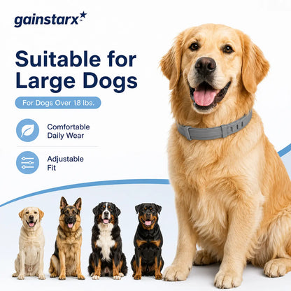 Gainstarx Adjustable Lightweight Dog Collar with Fresh Scent for Large Dogs Over 18 lbs - Ideal for Everyday Walks and Outdoor Activities