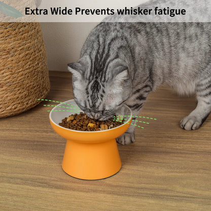 Elevated Ceramic Cat Bowls for Small Pets - Whisker-Friendly, Anti-Vomiting, Non-Slip, and Dishwasher/Microwave Safe