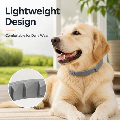 Gainstarx Adjustable Lightweight Dog Collar with Fresh Scent for Large Dogs Over 18 lbs - Ideal for Everyday Walks and Outdoor Activities