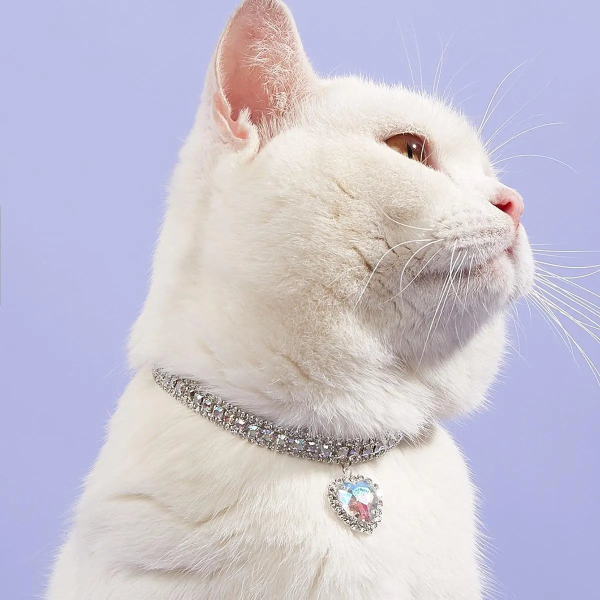 Heart-Shaped Artificial Diamond Pet Collar - Aesthetic Accessory for Cats and Dogs