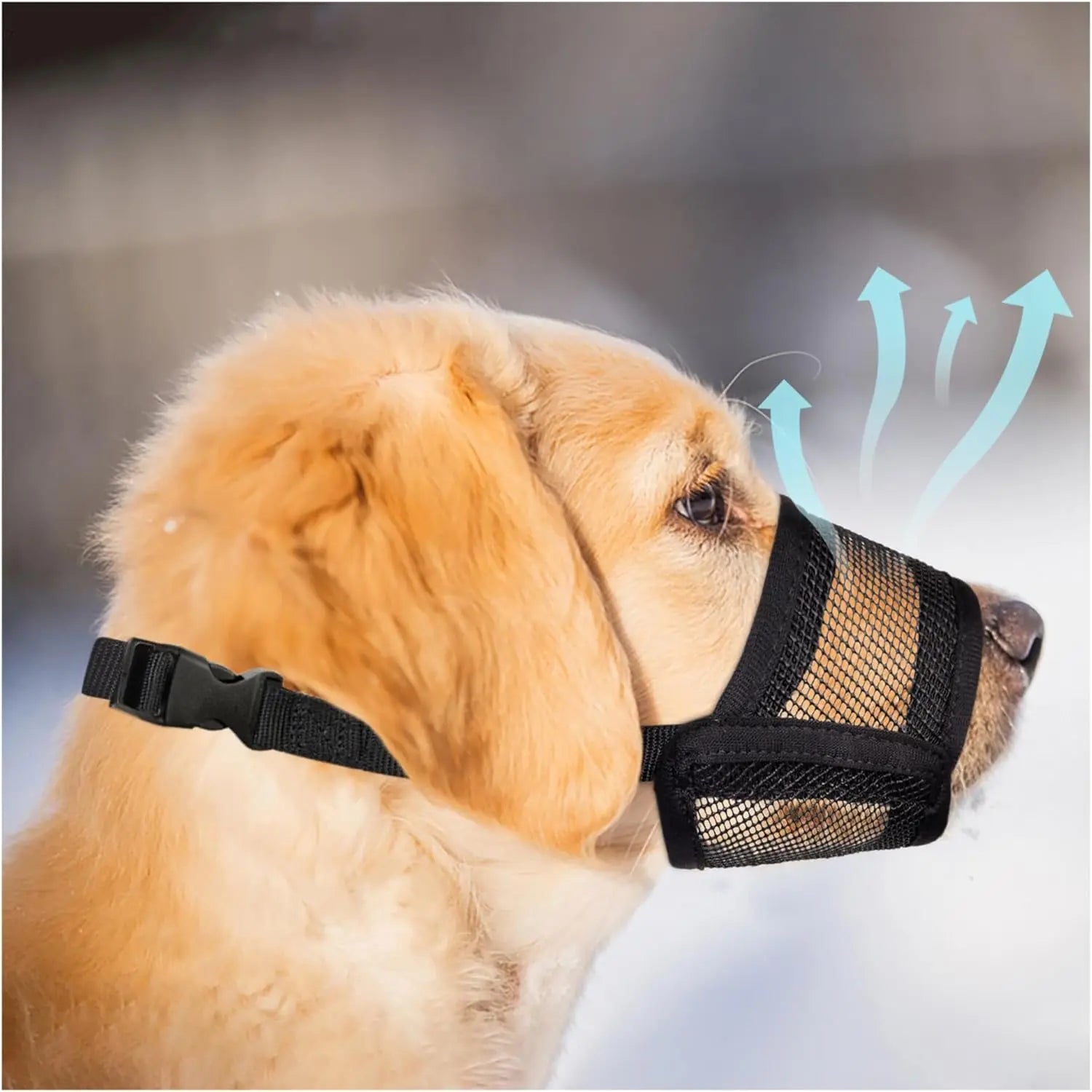 Adjustable Air Mesh Dog Muzzle for Various Sizes - Prevents Biting, Scavenging, Licking, and Chewing